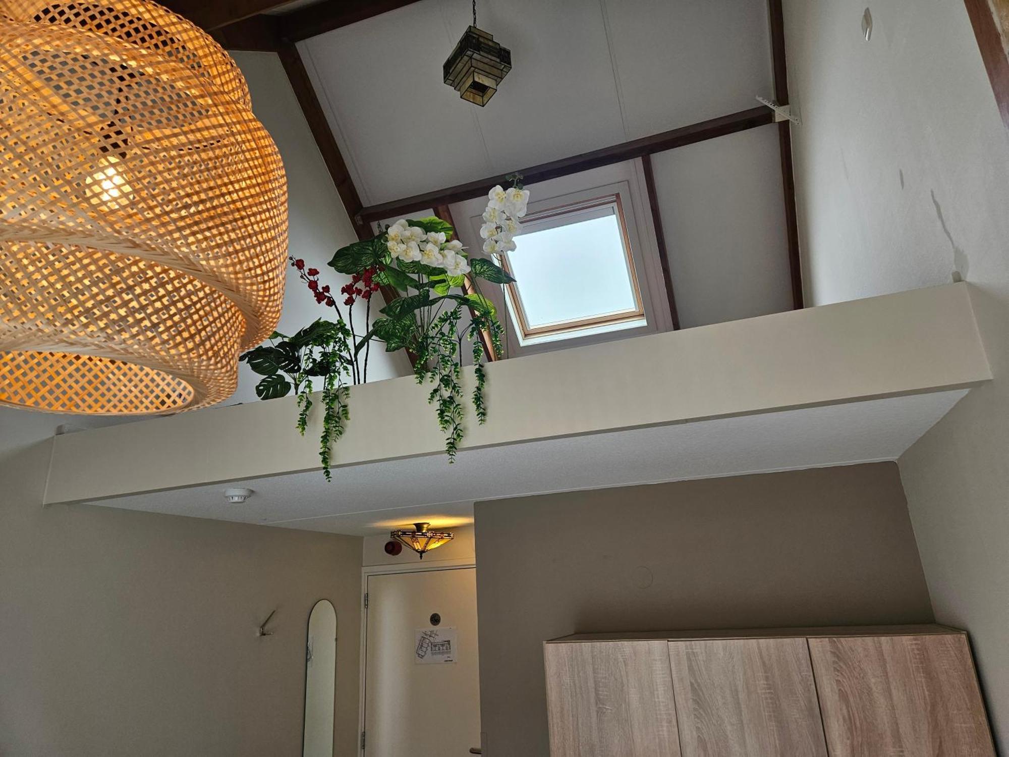 Hotel Dolores Ameland 네스 외부 사진